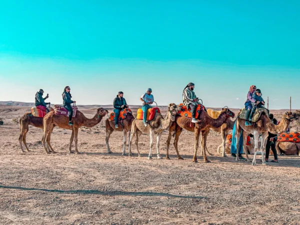 Agafay Desert: Sunset Camel Ride, Dinner & Fire Show Experience