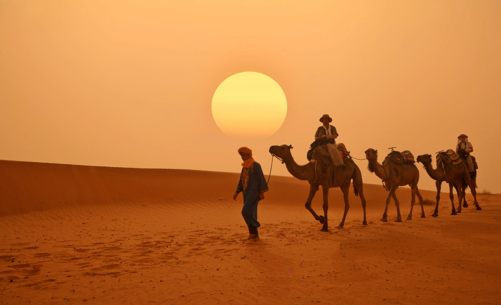 Where Culture Meets Adventure - Tours Art Morocco